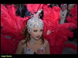 Carnaval de Mula 2013